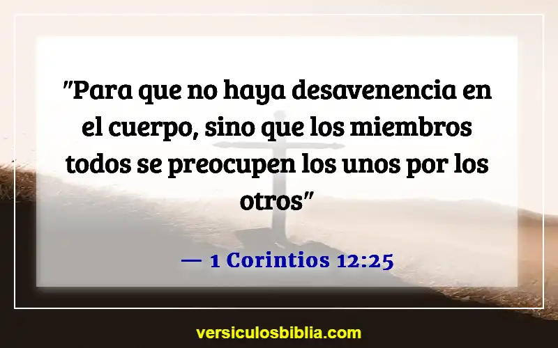 Versículos bíblicos sobre servir a los demás (1 Corintios 12:25)