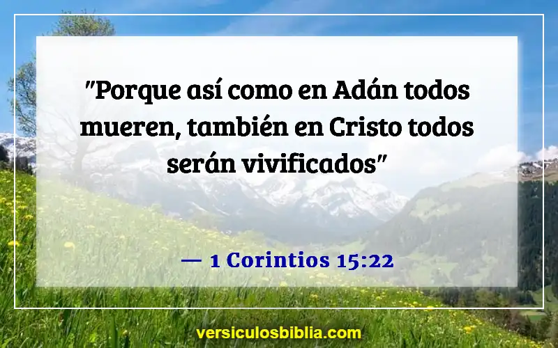 Versículos bíblicos sobre cómo lidiar con la muerte (1 Corintios 15:22)