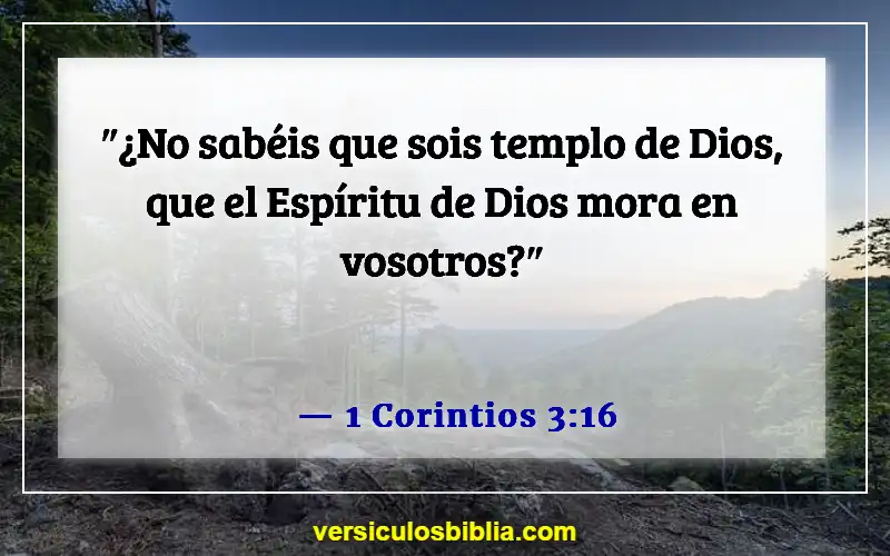 Versículos de la Biblia sobre los dones de Dios (1 Corintios 3:16)