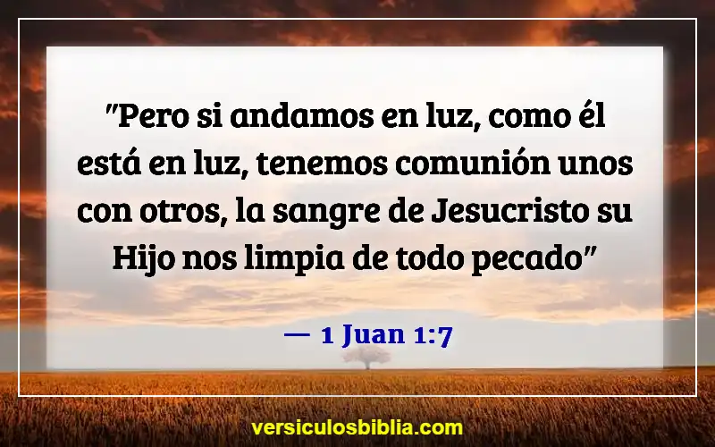 Versículos de la Biblia sobre el perdón de los pecados (1 Juan 1:7)