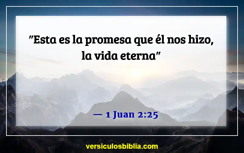 Versículos de la Biblia sobre hacer promesas (1 Juan 2:25)