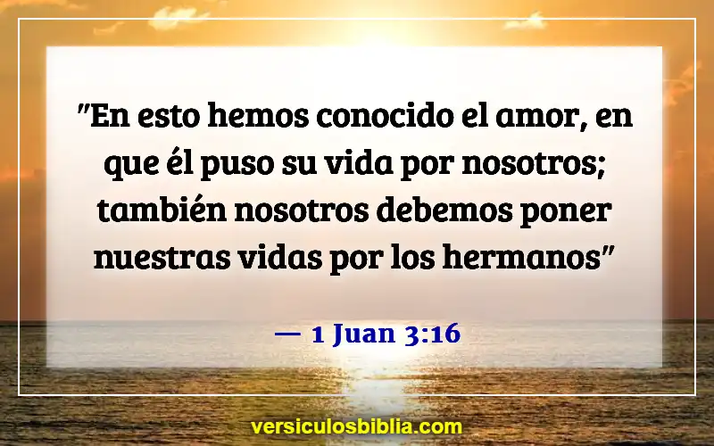 Versículos de la Biblia sobre la fe, el amor y la gracia (1 Juan 3:16)