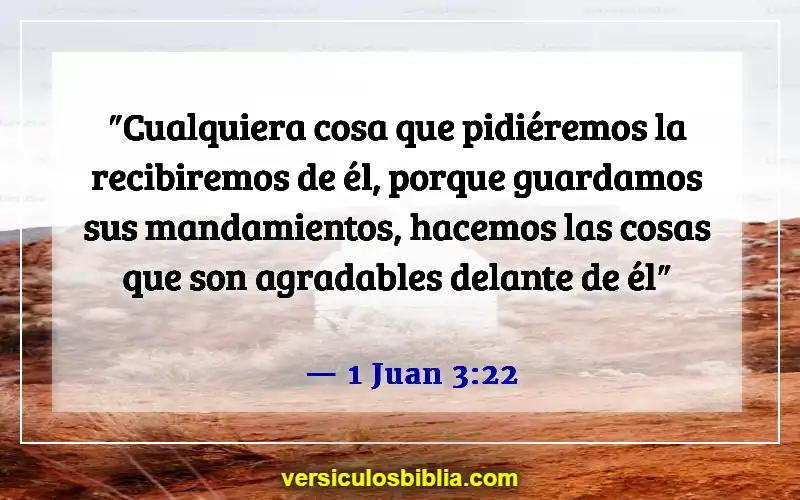 Versículos de la Biblia sobre pedir en el nombre de Jesús (1 Juan 3:22)