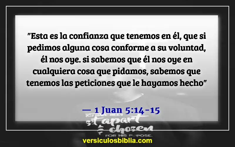 Versículos de la Biblia sobre dedicar tiempo a Dios (1 Juan 5:14-15)