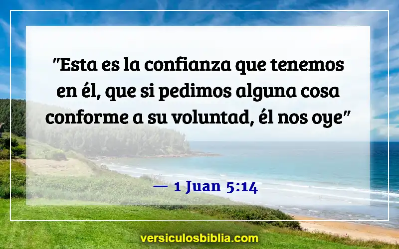 Versículos de la Biblia sobre cuestionar a Dios (1 Juan 5:14)