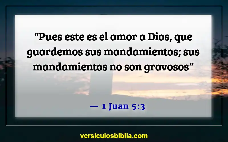 Versículos de la Biblia sobre amar a Dios (1 Juan 5:3)