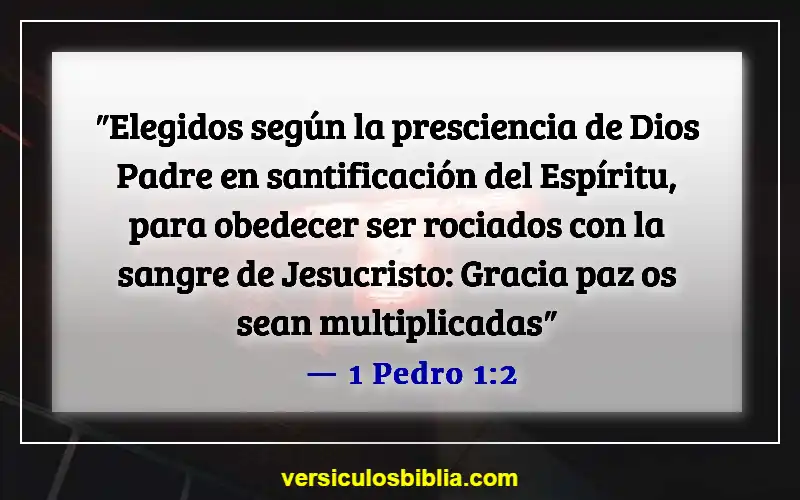 Versículos de la Biblia sobre los Elegidos (1 Pedro 1:2)