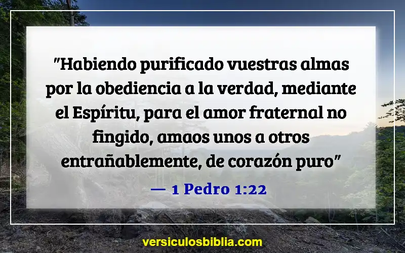 Versículos de la Biblia sobre el ánimo a los demás (1 Pedro 1:22)