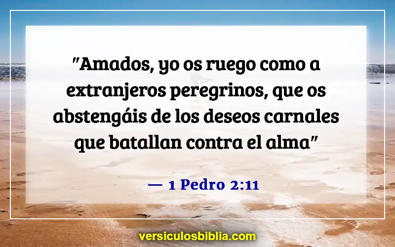 Versículos de la Biblia sobre evitar el pecado (1 Pedro 2:11)