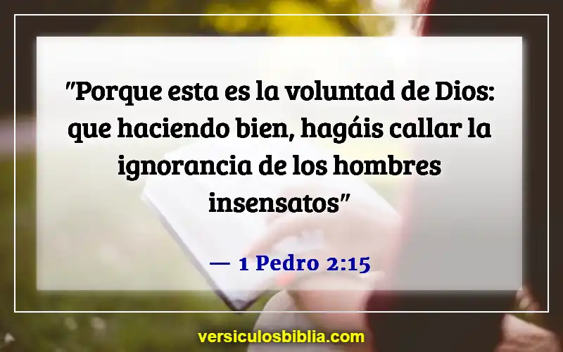 Versículos de la Biblia sobre seguir la voluntad de Dios (1 Pedro 2:15)