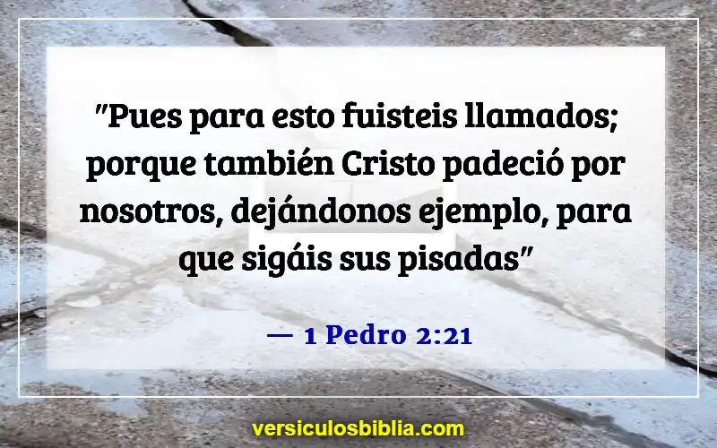 Versículos bíblicos sobre la aventura (1 Pedro 2:21)