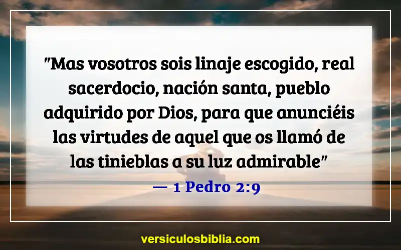 Versículos de la Biblia sobre los Elegidos (1 Pedro 2:9)