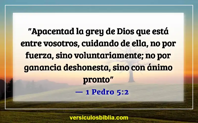 Versículos bíblicos sobre las calificaciones de los ancianos (1 Pedro 5:2)