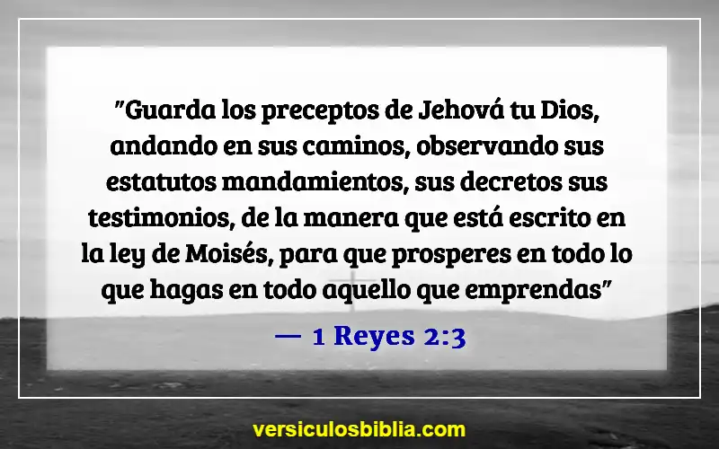 Versículos de la Biblia sobre obedecer a Dios (1 Reyes 2:3)