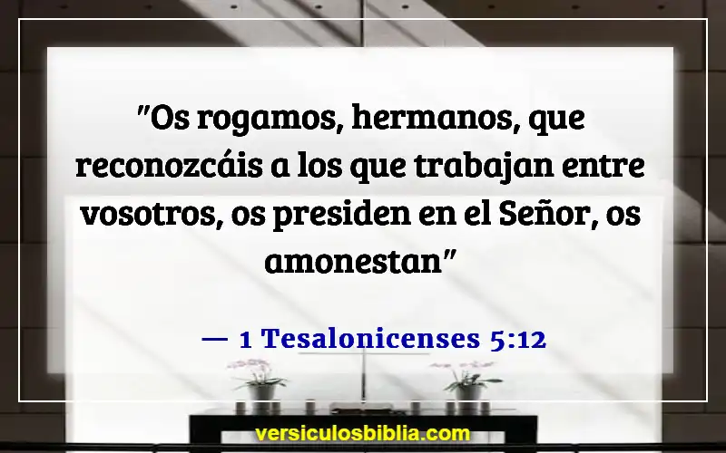 Versículos de la Biblia sobre las calificaciones de un anciano (1 Tesalonicenses 5:12)