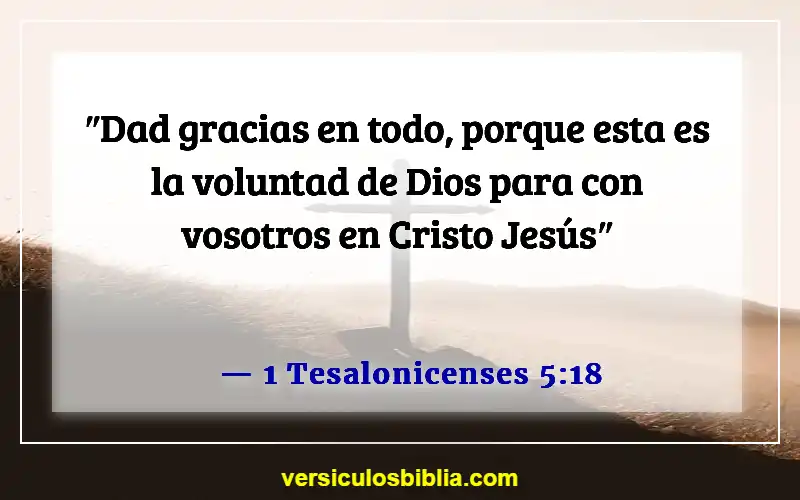 Versículos de la Biblia sobre seguir la voluntad de Dios (1 Tesalonicenses 5:18)