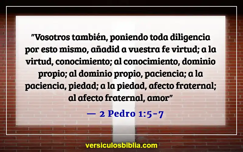 43 Versículos bíblicos sobre la comunión cristiana