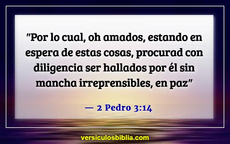 Versículos de la Biblia sobre el hombre de Dios (2 Pedro 3:14)