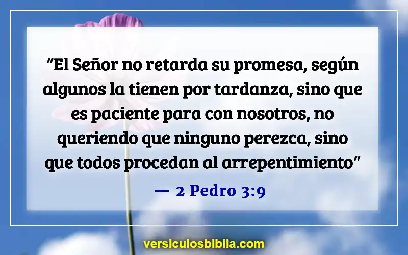 Versículos de la Biblia sobre hacer promesas (2 Pedro 3:9)