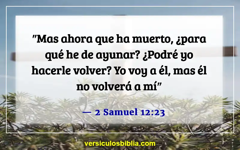 Versículos de la Biblia sobre el ayuno y la oración (2 Samuel 12:23)