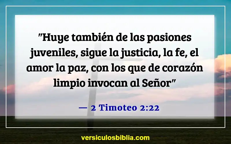 Versículos de la Biblia sobre caer en la tentación (2 Timoteo 2:22)