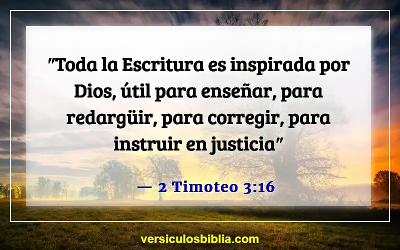 Versículos de la Biblia sobre escuchar a Dios (2 Timoteo 3:16)