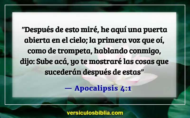 Versículos de la Biblia sobre sueños y visiones (Apocalipsis 4:1)