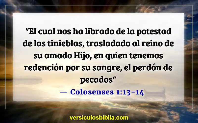 Versículos de la Biblia sobre el perdón de los pecados (Colosenses 1:13-14)