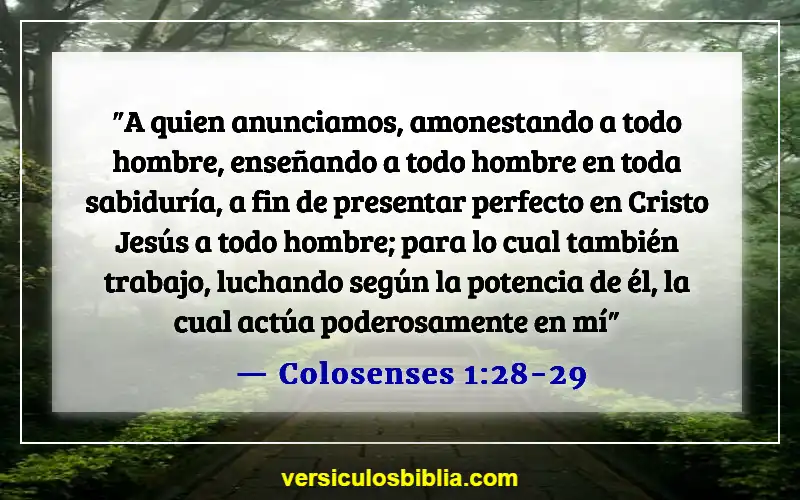 Versículos bíblicos sobre responsabilidades pastorales (Colosenses 1:28-29)