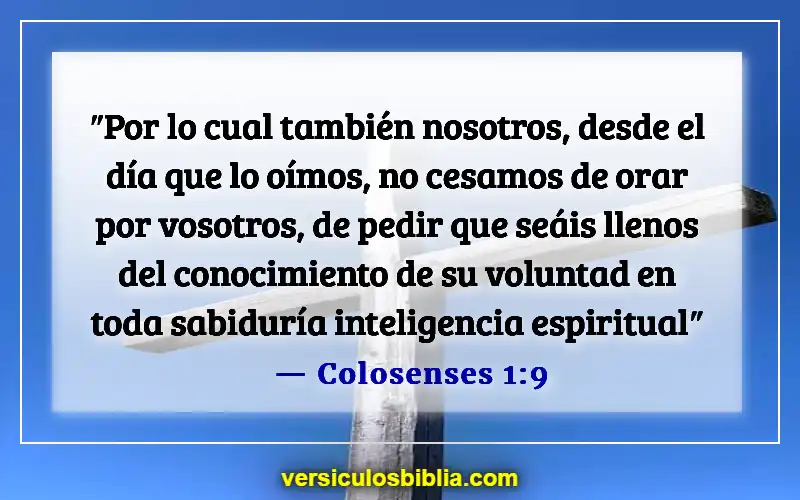 Versículos de la Biblia sobre seguir la voluntad de Dios (Colosenses 1:9)