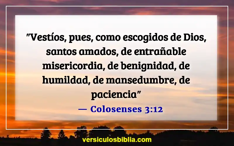 Versículos de la Biblia sobre ofender a las personas (Colosenses 3:12)