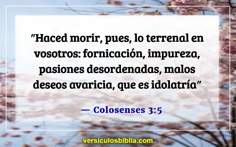 Versículos bíblicos sobre el mal en el mundo (Colosenses 3:5)