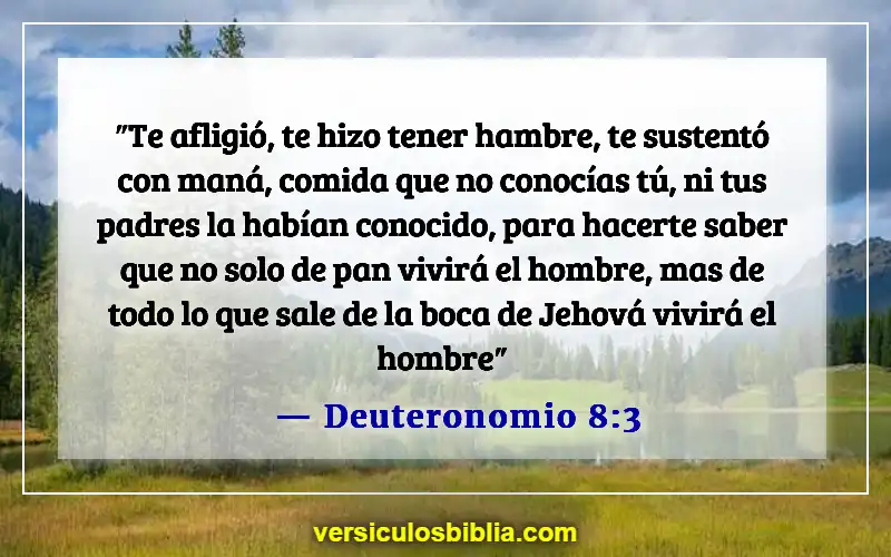 Versículos de la Biblia sobre la inspiración divina (Deuteronomio 8:3)