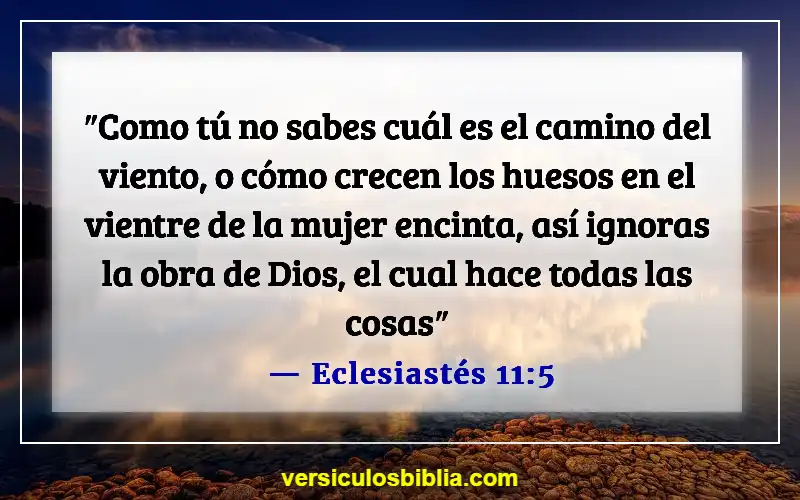 Versículos de la Biblia sobre cuestionar a Dios (Eclesiastés 11:5)