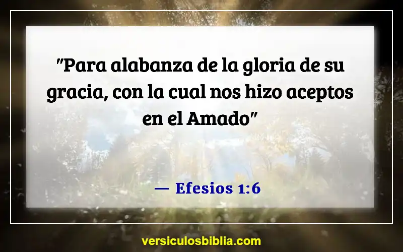 Versículos de la Biblia sobre superar el rechazo (Efesios 1:6)