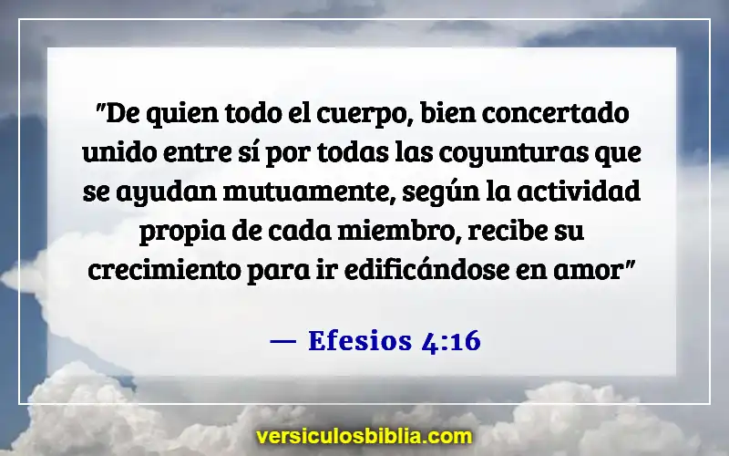 Versículos de la Biblia sobre las calificaciones de un anciano (Efesios 4:16)