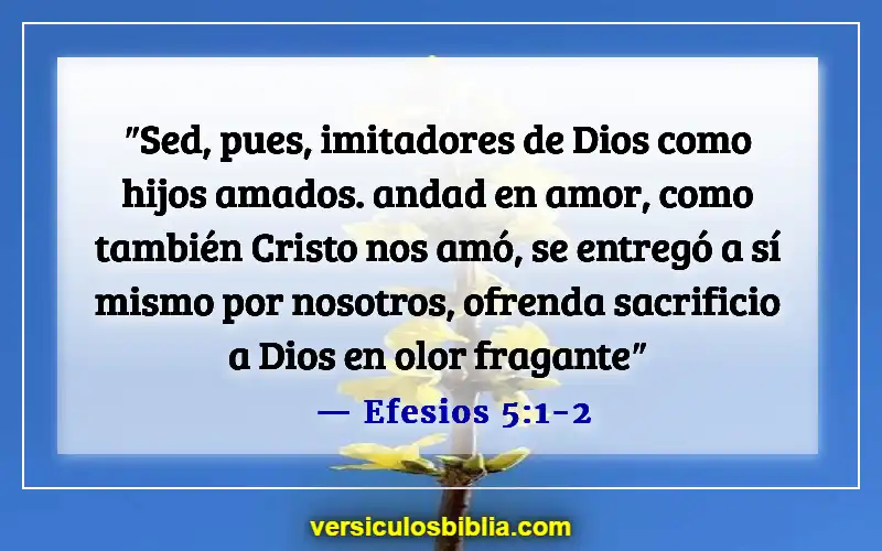 Versículos de la Biblia sobre ofender a las personas (Efesios 5:1-2)