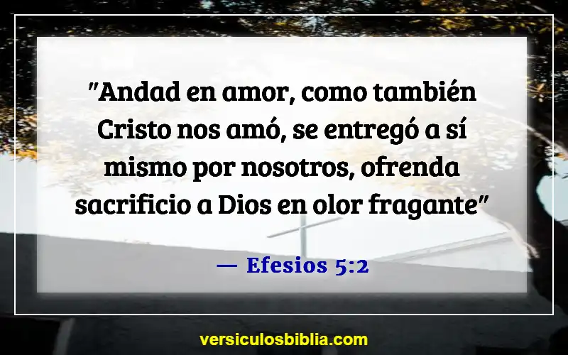 Versículos de la Biblia sobre el afecto (Efesios 5:2)