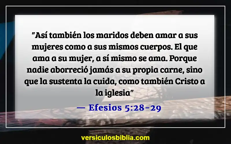 Versículos de la Biblia sobre esposos abusivos (Efesios 5:28-29)