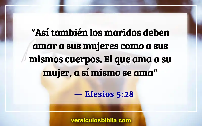 Versículos de la Biblia sobre el abuso en el matrimonio (Efesios 5:28)