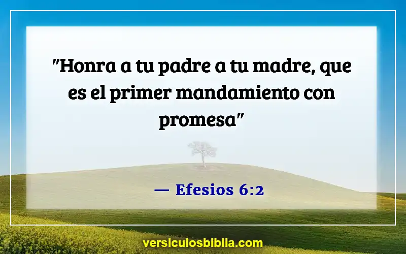 Versículos de la Biblia sobre respetar a los padres (Efesios 6:2)