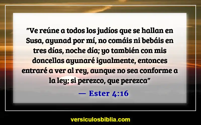 Versículos de la Biblia sobre el ayuno y la oración (Ester 4:16)