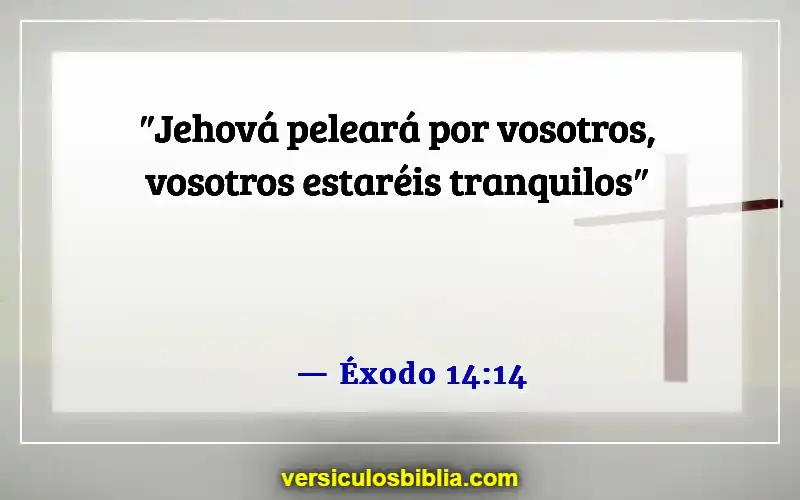 Versículos de la Biblia sobre el tiempo de quietud (Éxodo 14:14)