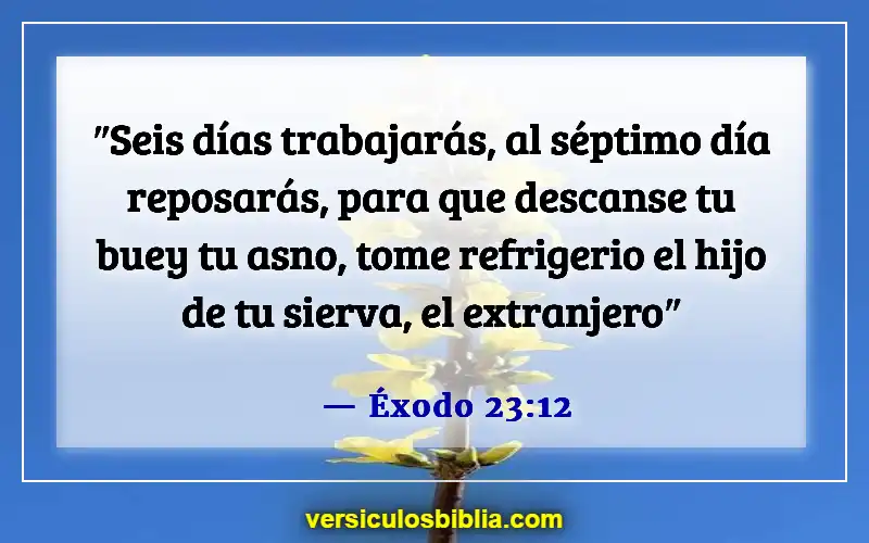 Versículos de la Biblia sobre las almas de los animales (Éxodo 23:12)