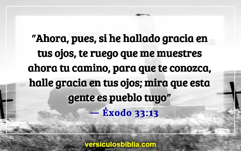 Versículos de la Biblia sobre cuestionar a Dios (Éxodo 33:13)