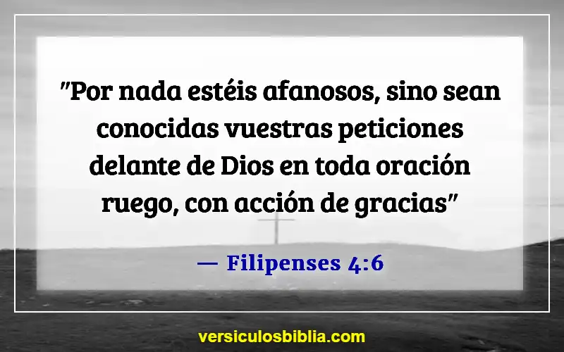 Versículos de la Biblia sobre el tiempo de quietud (Filipenses 4:6)