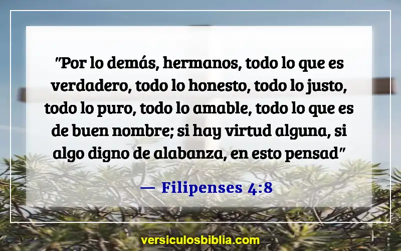 Versículos de la Biblia sobre el tiempo de quietud (Filipenses 4:8)