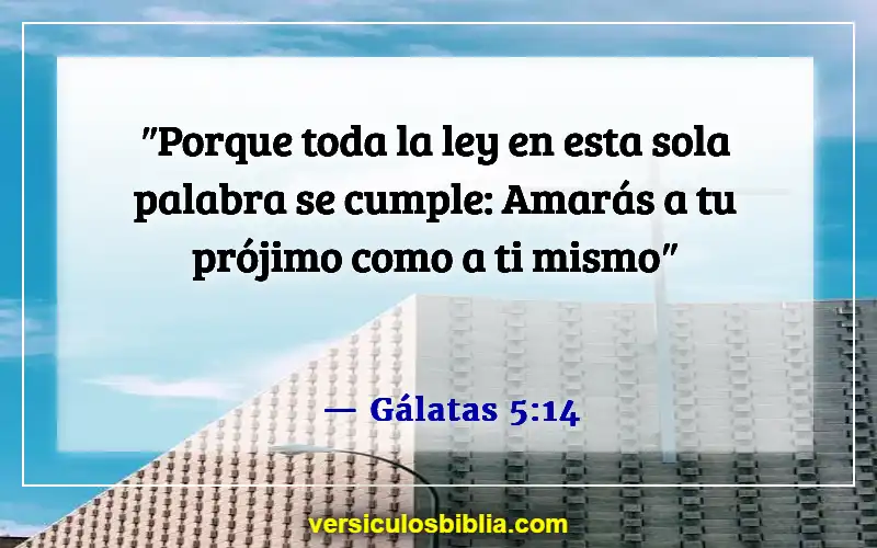 Versículos de la Biblia sobre juzgar a otras personas (Gálatas 5:14)