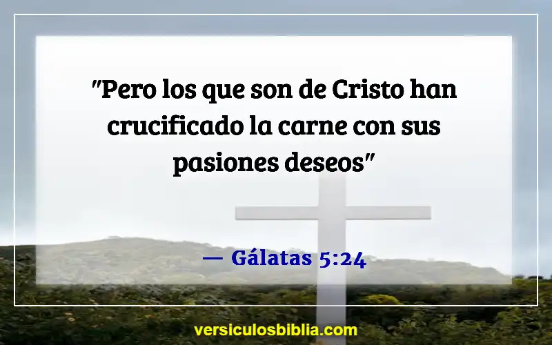 Versículos de la Biblia sobre evitar el pecado (Gálatas 5:24)