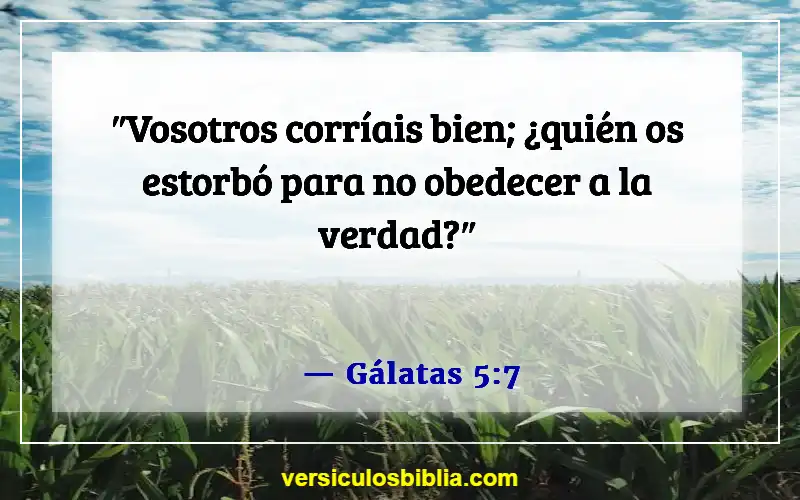 Versículos de la Biblia sobre obedecer a Dios (Gálatas 5:7)